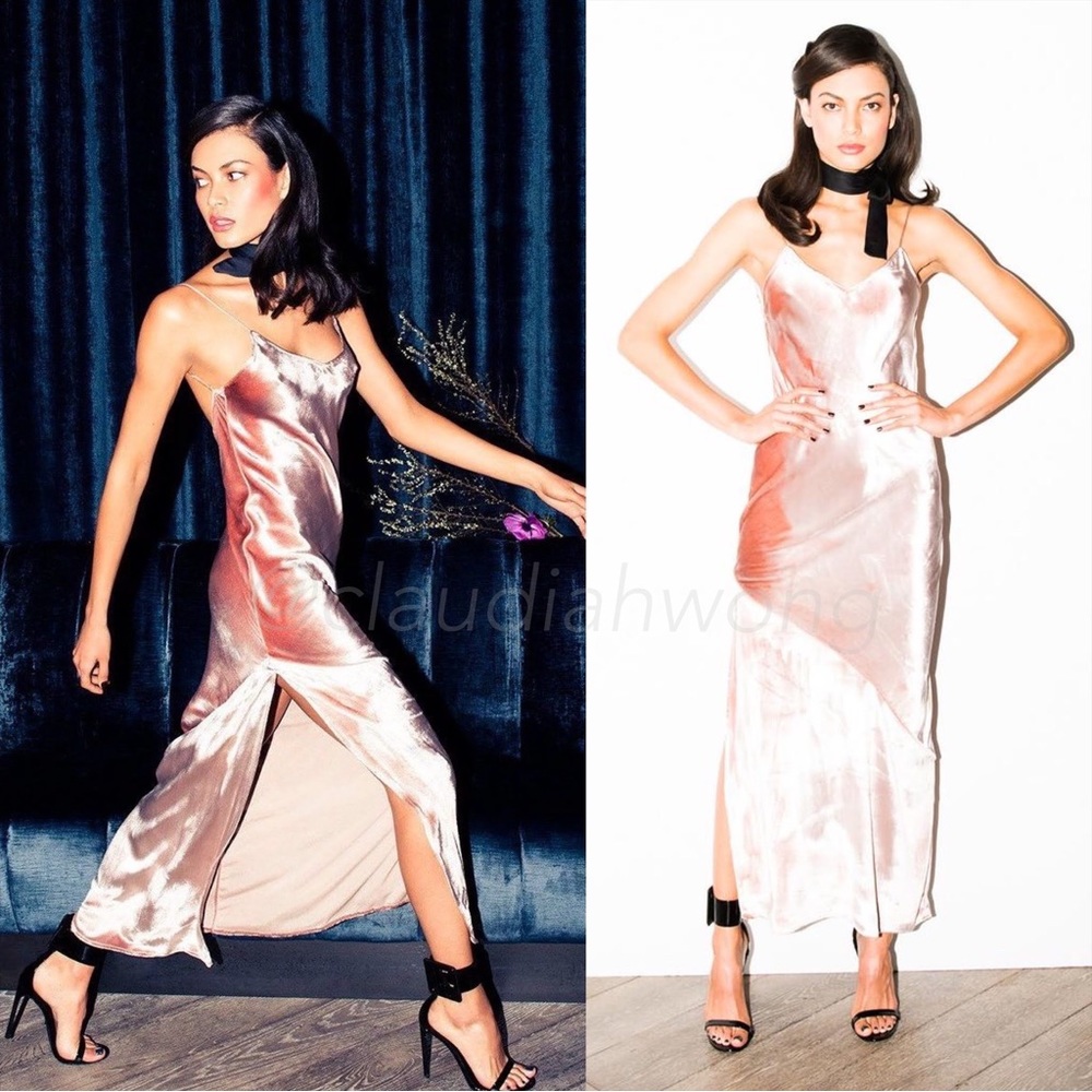 FLEUR DU MAL Platinum Rose Velvet Silk Slip Maxi Dress in Pink